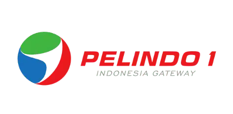 Pelindo I